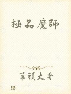 极品魔师