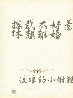 总裁不好惹女人休想离婚