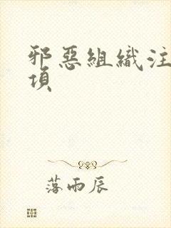 邪恶组织注意事项