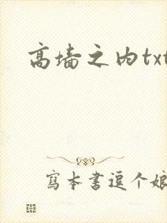 高墙之内txt