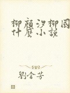 柳颜汐柳国安是什么小说