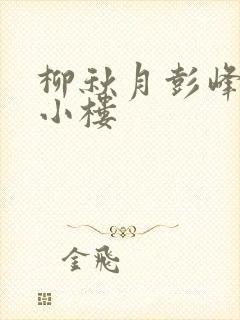 柳秋月彭峰月满小楼