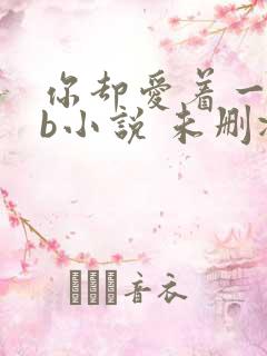 你却爱着一个sb小说 未删减完整版百度云