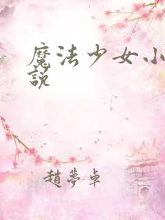 魔法少女小圆小说