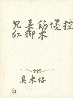 兄长的侵控by红柳木