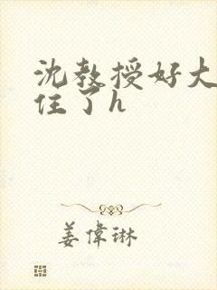 沈教授好大含不住了h