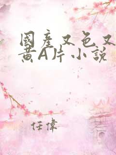 国产又色又爽又黄A片小说