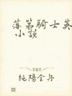 落第骑士英雄谭 小说