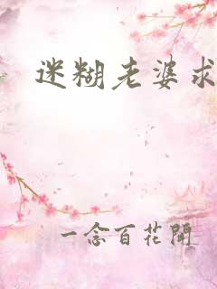 迷糊老婆求错婚