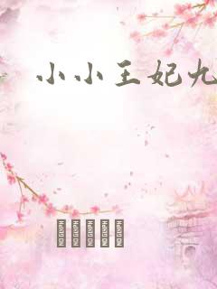 小小王妃九岁半