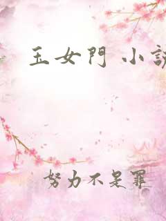 玉女门 小说