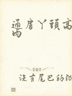 通房丫头高h纯肉