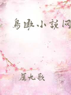 鸟瞰小说网