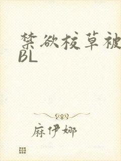 禁欲校草被C哭BL