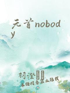 元首nobody