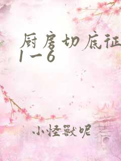 厨房切底征服岳1一6