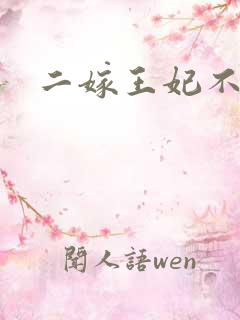 二嫁王妃不好惹