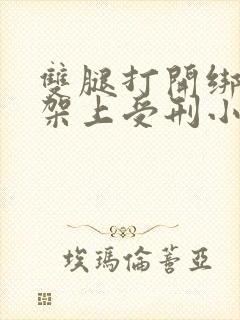 双腿打开绑在刑架上受刑小说