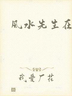 风水先生在线