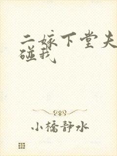 二嫁下堂夫君别碰我