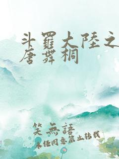 斗罗大陆之肉奴唐舞桐