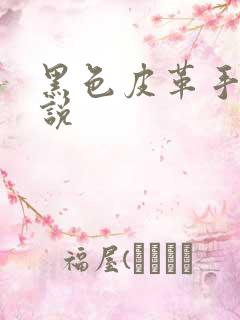 黑色皮革手册小说