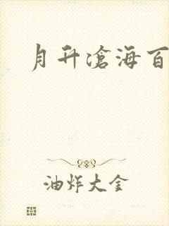 月升沧海百度云