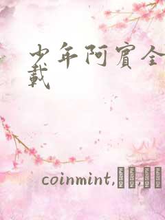 少年阿宾全集下载