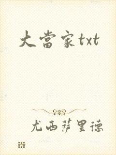 大当家txt