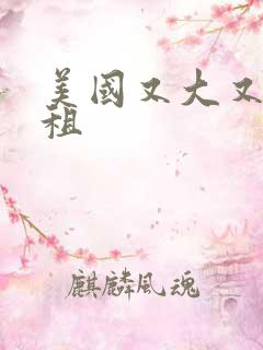 美国又大又长又租