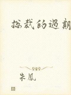 总裁的过期情人