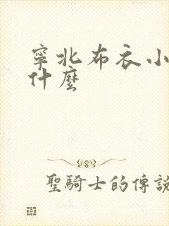 宁北布衣小说叫什么