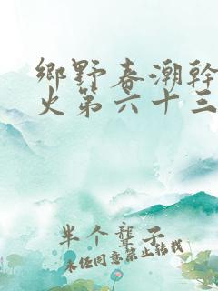 乡野春潮干柴烈火第六十三章