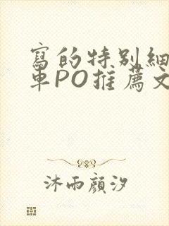 写的特别细的开车PO推荐文