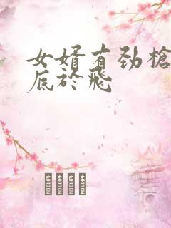 女婿有劲枪枪到底于飞