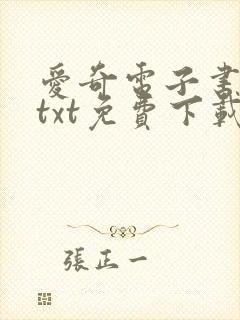 爱奇电子书下载txt免费下载