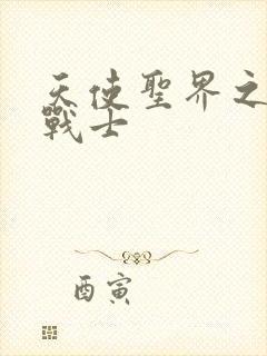 天使圣界之神之战士