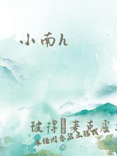 小南h