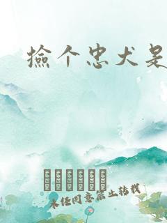 捡个忠犬是饿狼