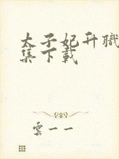 太子妃升职记全集下载