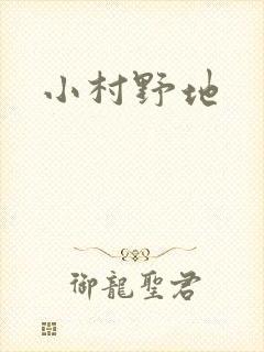 小村野地