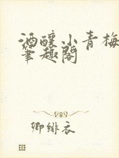 酒酿小青梅po笔趣阁