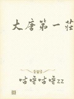大唐第一庄