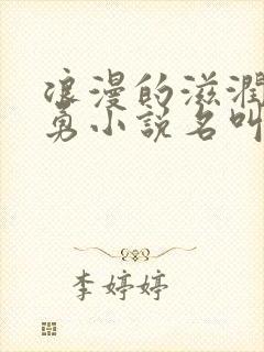 浪漫的滋润刘大勇小说名叫什么?