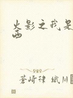 火影之我是卡卡西