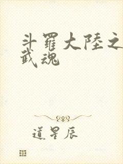 斗罗大陆之三生武魂