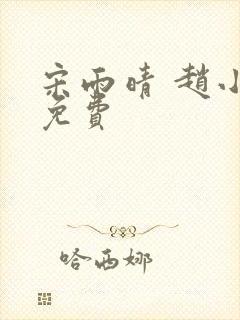 宋雨晴 赵小刚免费