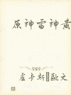 原神雷神黄本本