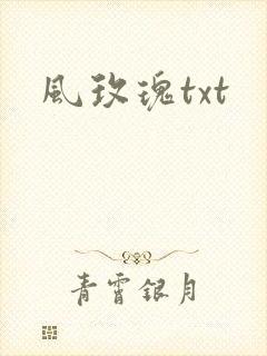 风玫瑰txt