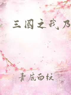 三国之我乃曹昂